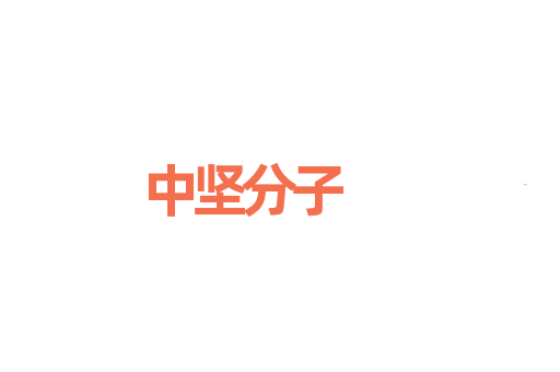 中坚分子